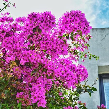Posada Santa Rita Κολονία ντε Σακραμεντο Εξωτερικό φωτογραφία