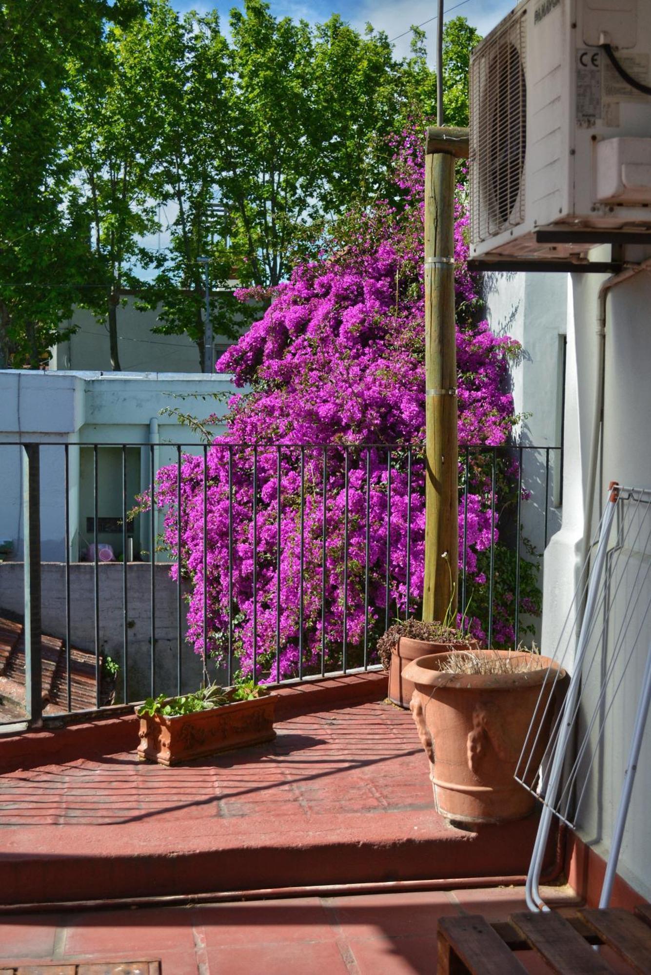 Posada Santa Rita Κολονία ντε Σακραμεντο Εξωτερικό φωτογραφία