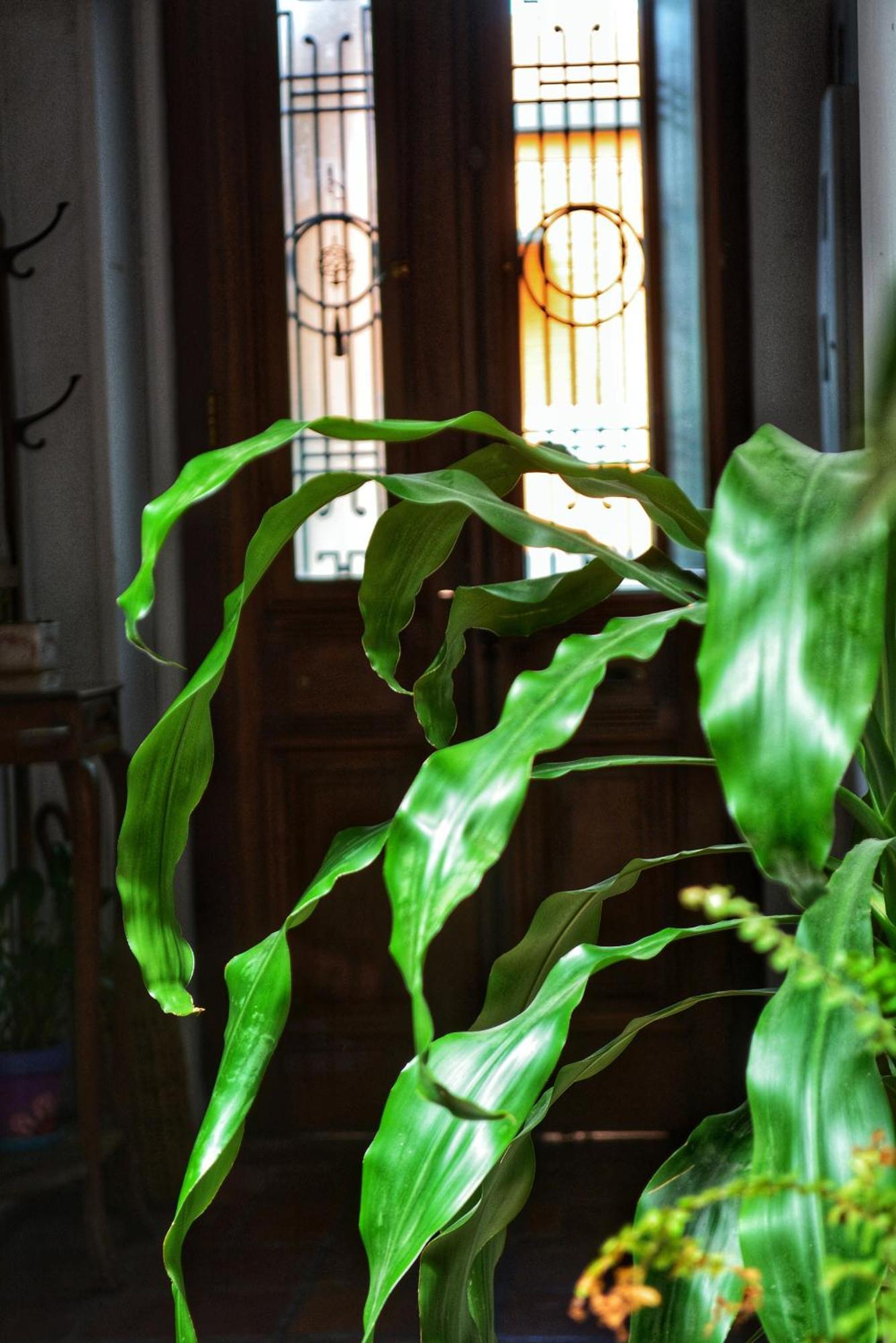 Posada Santa Rita Κολονία ντε Σακραμεντο Εξωτερικό φωτογραφία